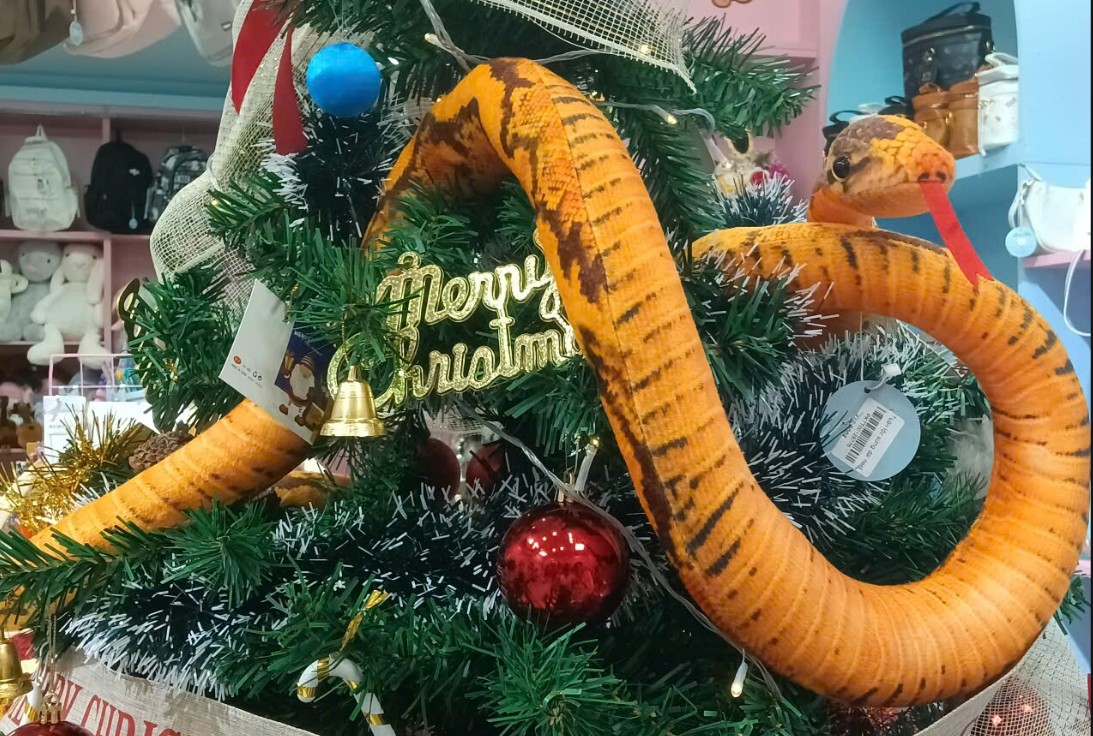 Trăn bông siêu ngầu lòi